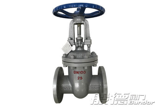 鑄鋼閘閥，般德