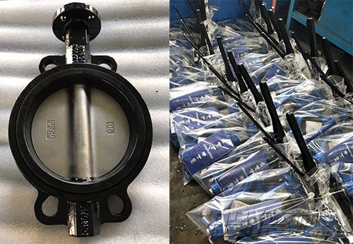 土耳其貿(mào)易商采購(gòu)般德對(duì)夾蝶閥產(chǎn)品