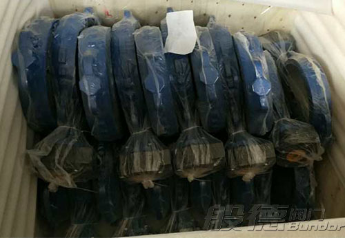 般德渦輪蝶閥、止回閥、過濾器等出口以色列