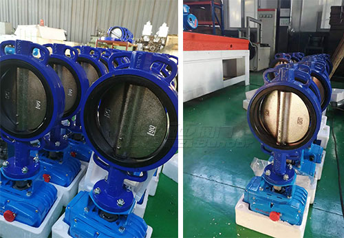 般德蝶閥、閘閥產(chǎn)品出口菲律賓