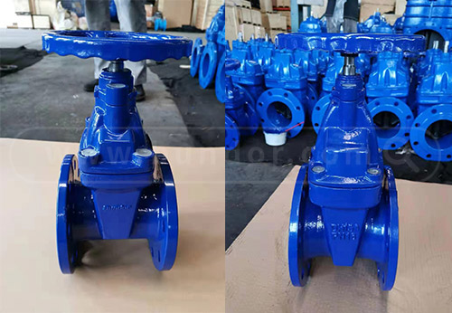 般德軟密封閘閥、過(guò)濾器出口柬埔寨