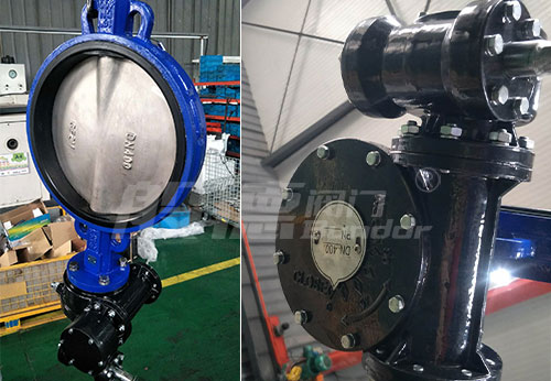 般德蝶閥、蝶式止回閥等出口秘魯