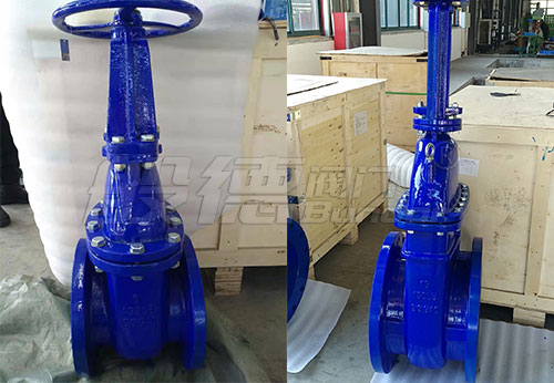 般德軟密封閘閥、硬密封閘閥等出口意大利