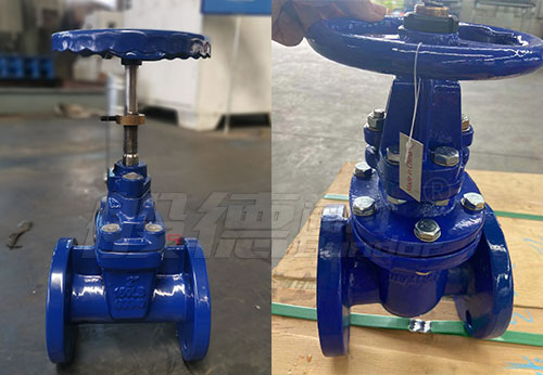 般德閥門(mén)閘閥產(chǎn)品出口意大利