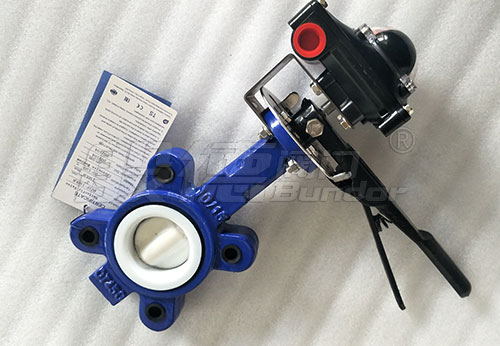 般德閥門(mén)襯氟蝶閥、單板止回閥出口智利