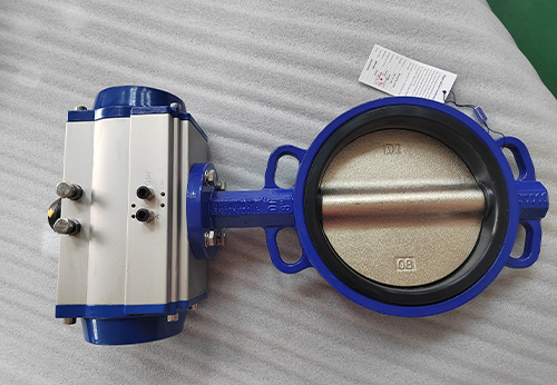 浙江某公司采購(gòu)般德氣動(dòng)對(duì)夾蝶閥